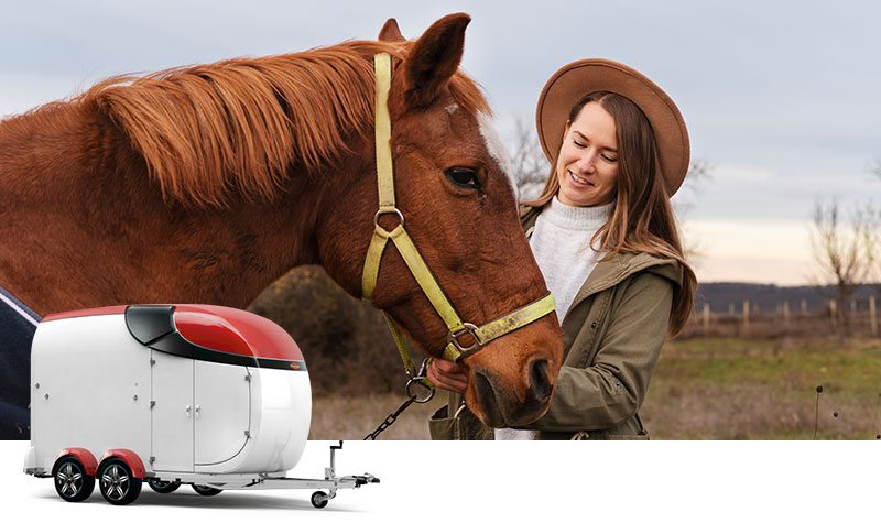 Przyczepy do przewozu koni - BoeckmannPolska